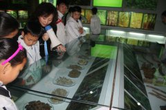 赤水桫椤博物馆被评选为贵州省“我最喜